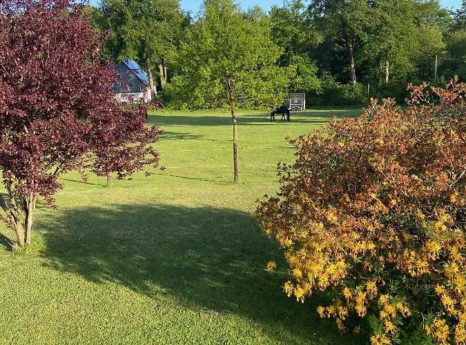 Monzeit Διαμέρισμα