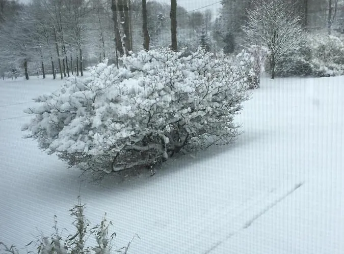 Διαμέρισμα Monzeit *